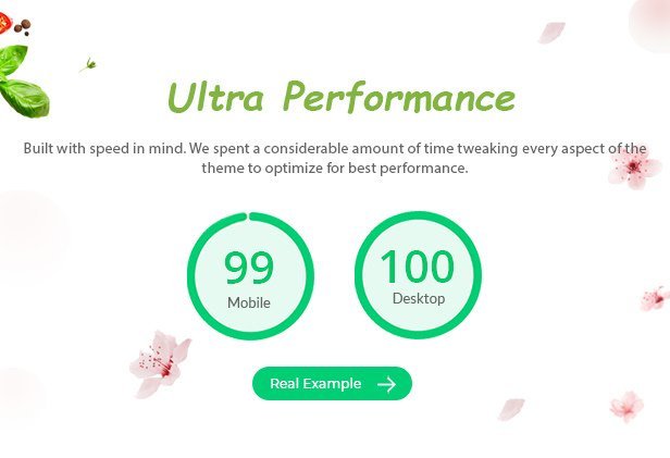 Organica - Organic, Beauty, Natural Cosmetics, Food, Farn and Eco WordPress Theme - Image 3